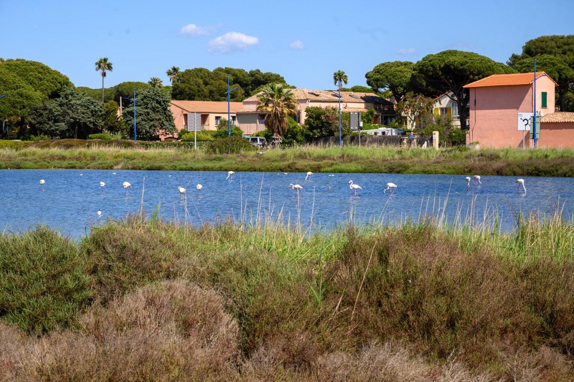 Le De Giens Apartment Hyeres